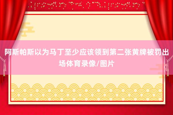 阿斯帕斯以为马丁至少应该领到第二张黄牌被罚出场体育录像/图片