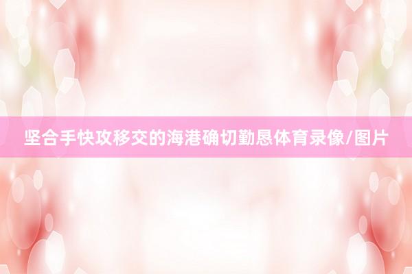 坚合手快攻移交的海港确切勤恳体育录像/图片
