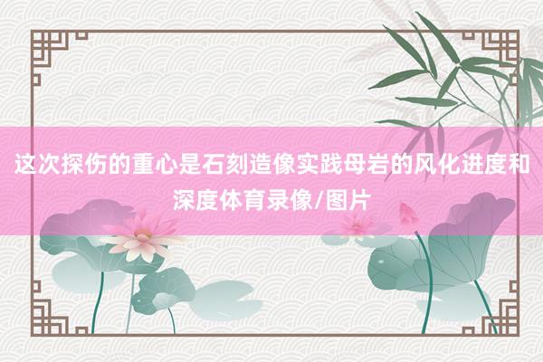 这次探伤的重心是石刻造像实践母岩的风化进度和深度体育录像/图片