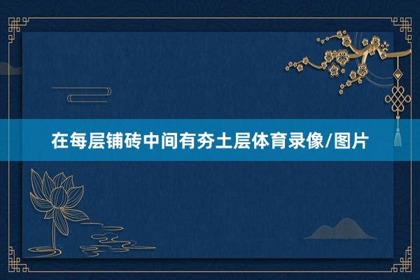 在每层铺砖中间有夯土层体育录像/图片