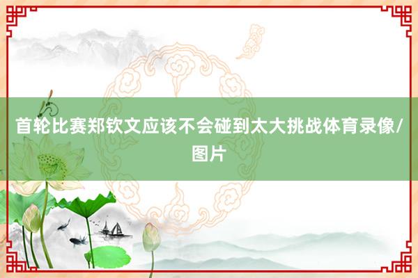 首轮比赛郑钦文应该不会碰到太大挑战体育录像/图片