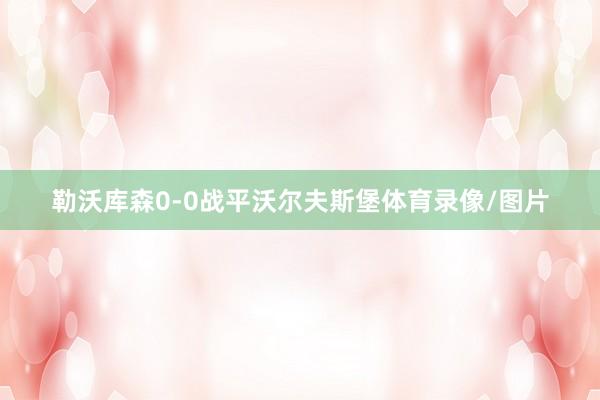 勒沃库森0-0战平沃尔夫斯堡体育录像/图片