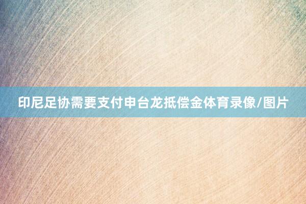 印尼足协需要支付申台龙抵偿金体育录像/图片