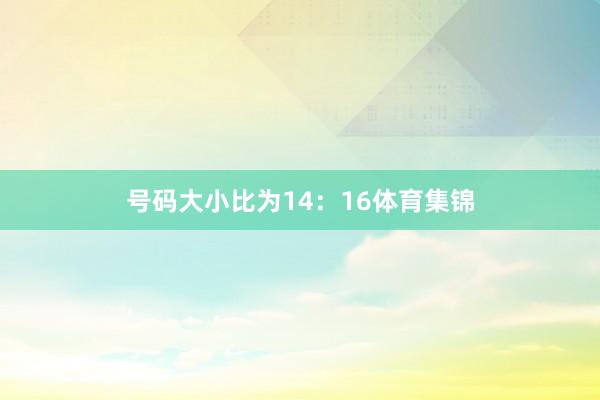 号码大小比为14：16体育集锦
