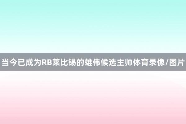 当今已成为RB莱比锡的雄伟候选主帅体育录像/图片