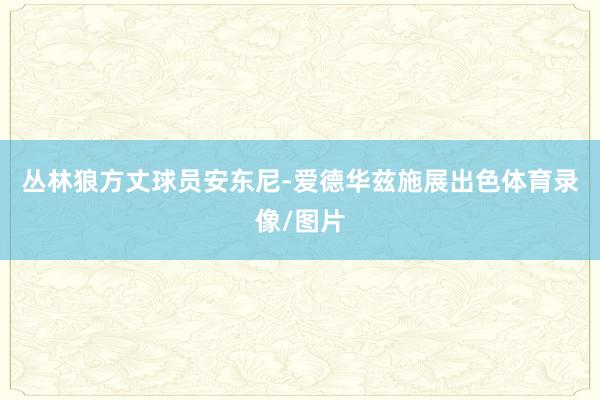丛林狼方丈球员安东尼-爱德华兹施展出色体育录像/图片