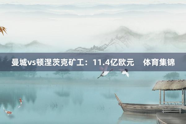 曼城vs顿涅茨克矿工:11.4亿欧元 体育集锦