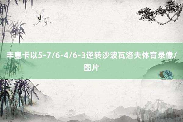 丰塞卡以5-7/6-4/6-3逆转沙波瓦洛夫体育录像/图片