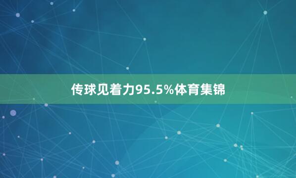 传球见着力95.5%体育集锦