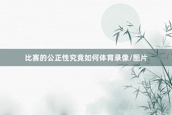 比赛的公正性究竟如何体育录像/图片
