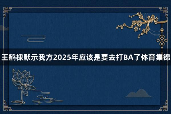 王鹤棣默示我方2025年应该是要去打BA了体育集锦