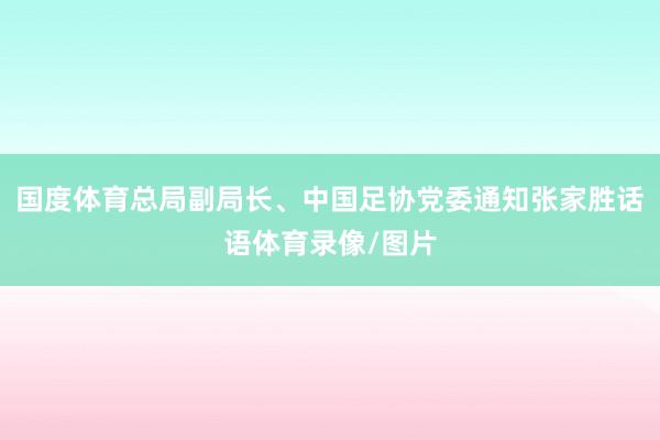 国度体育总局副局长、中国足协党委通知张家胜话语体育录像/图片