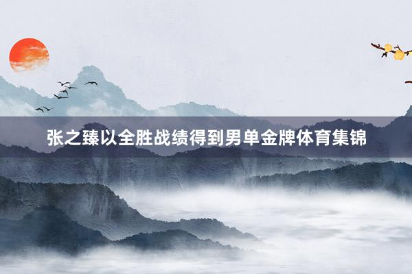 张之臻以全胜战绩得到男单金牌体育集锦