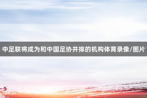 中足联将成为和中国足协并排的机构体育录像/图片