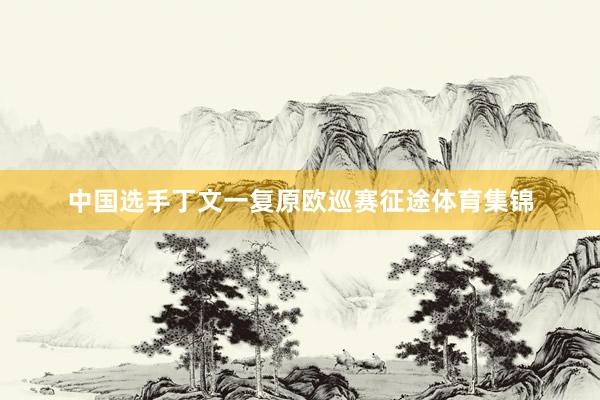 中国选手丁文一复原欧巡赛征途体育集锦