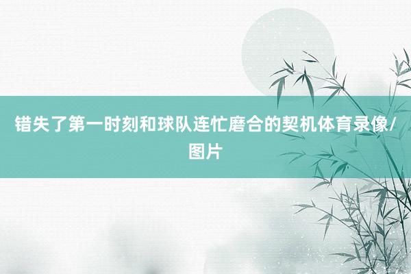 错失了第一时刻和球队连忙磨合的契机体育录像/图片