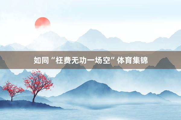 如同“枉费无功一场空”体育集锦