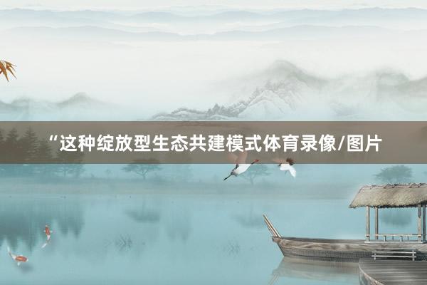“这种绽放型生态共建模式体育录像/图片