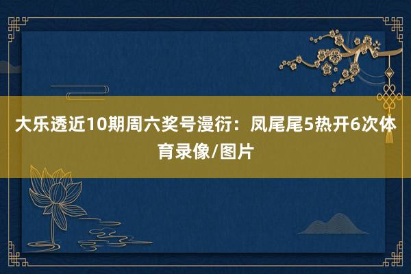 大乐透近10期周六奖号漫衍：凤尾尾5热开6次体育录像/图片