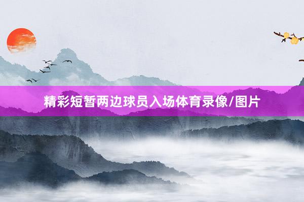 精彩短暂两边球员入场体育录像/图片