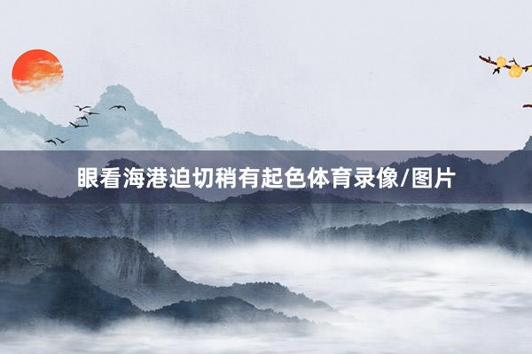 眼看海港迫切稍有起色体育录像/图片