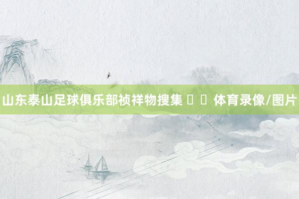 山东泰山足球俱乐部祯祥物搜集 ​​体育录像/图片