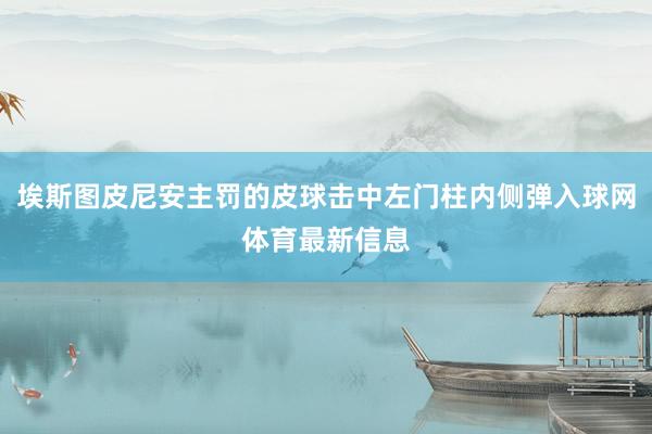 埃斯图皮尼安主罚的皮球击中左门柱内侧弹入球网体育最新信息