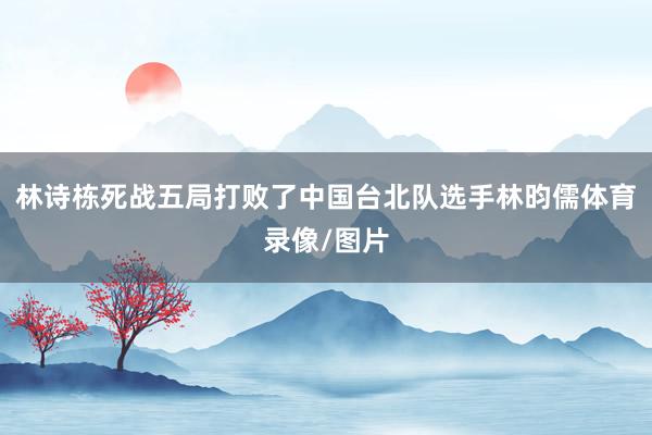 林诗栋死战五局打败了中国台北队选手林昀儒体育录像/图片