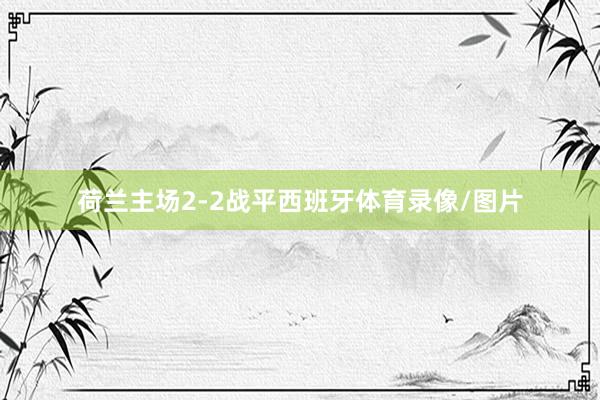 荷兰主场2-2战平西班牙体育录像/图片