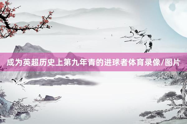 成为英超历史上第九年青的进球者体育录像/图片