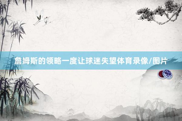 詹姆斯的领略一度让球迷失望体育录像/图片