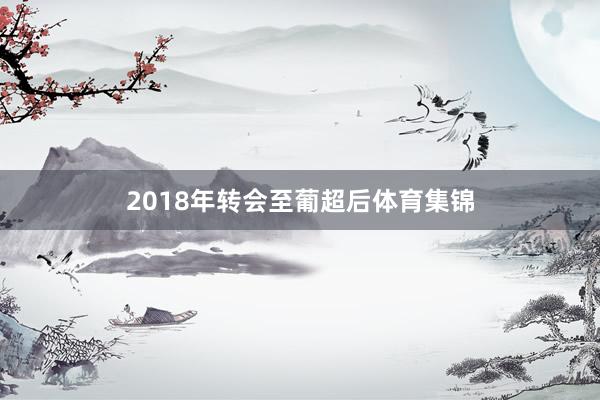 2018年转会至葡超后体育集锦