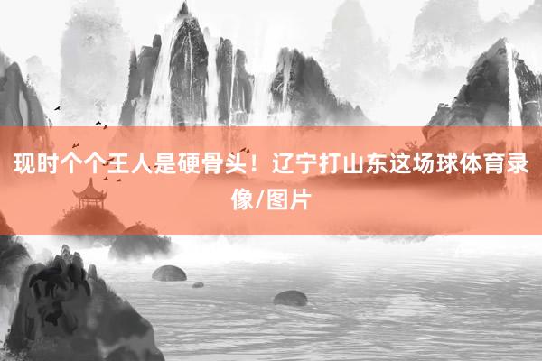 现时个个王人是硬骨头！辽宁打山东这场球体育录像/图片
