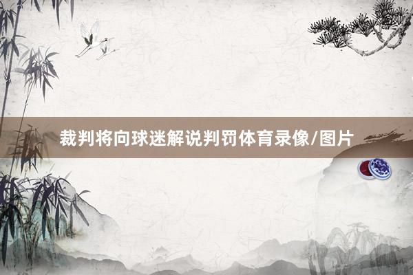 裁判将向球迷解说判罚体育录像/图片