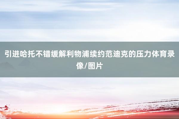 引进哈托不错缓解利物浦续约范迪克的压力体育录像/图片