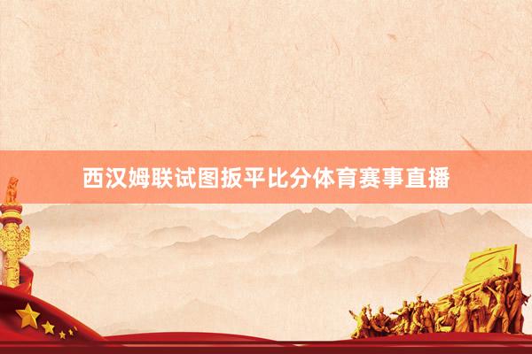 西汉姆联试图扳平比分体育赛事直播