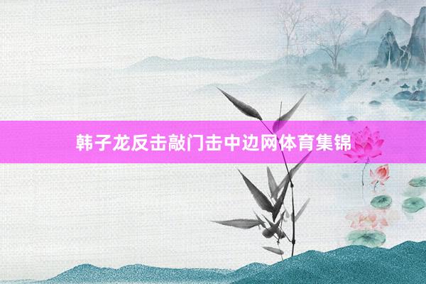 韩子龙反击敲门击中边网体育集锦