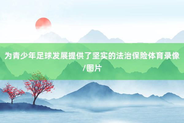 为青少年足球发展提供了坚实的法治保险体育录像/图片