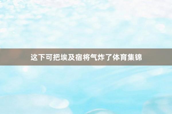 这下可把埃及宿将气炸了体育集锦