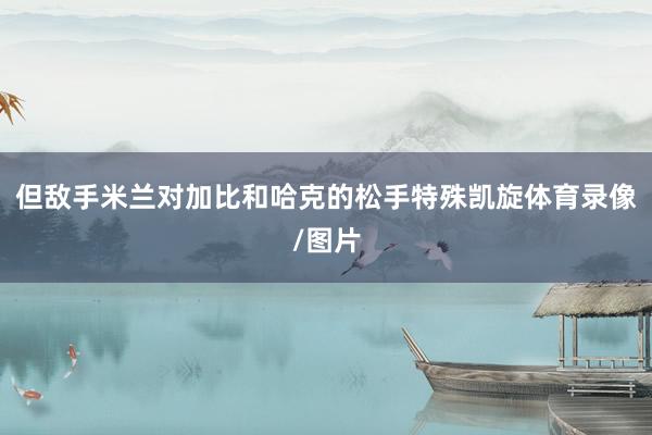 但敌手米兰对加比和哈克的松手特殊凯旋体育录像/图片