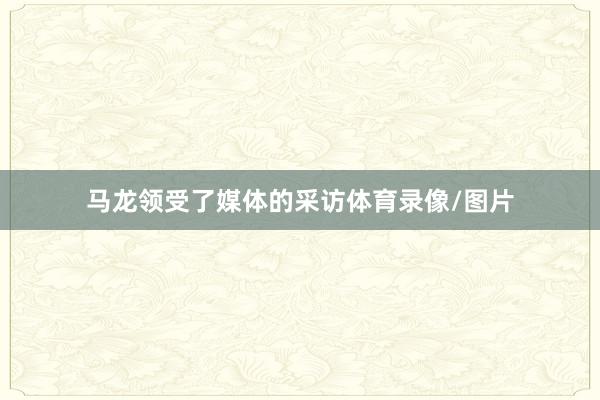 马龙领受了媒体的采访体育录像/图片