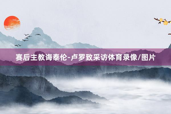 赛后主教诲泰伦-卢罗致采访体育录像/图片