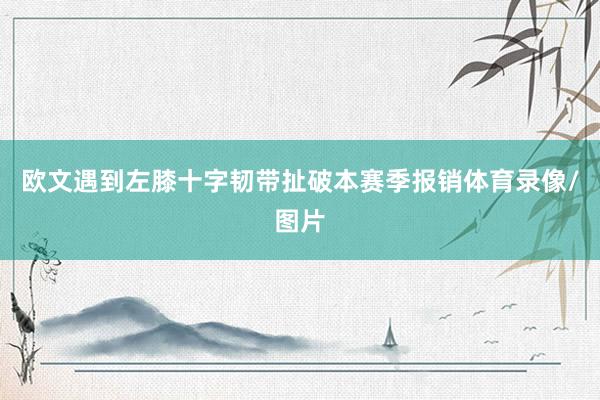 欧文遇到左膝十字韧带扯破本赛季报销体育录像/图片