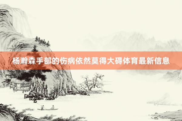 杨瀚森手部的伤病依然莫得大碍体育最新信息