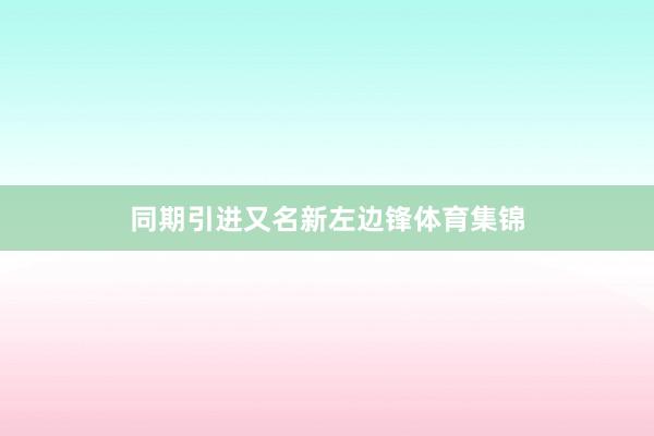 同期引进又名新左边锋体育集锦