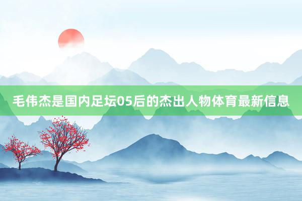 毛伟杰是国内足坛05后的杰出人物体育最新信息