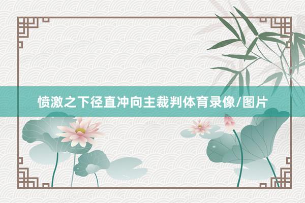愤激之下径直冲向主裁判体育录像/图片